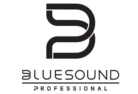 Bluesound Professional