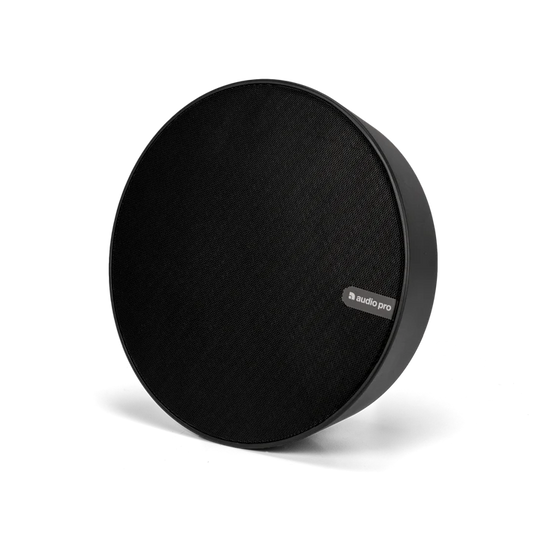 SPW-5 IP rated wireless speaker